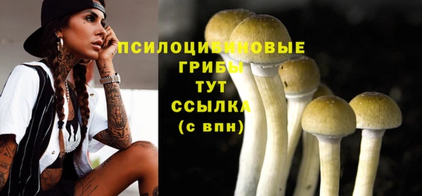 Альфа ПВП Абдулино