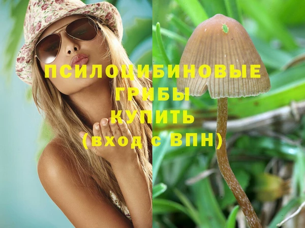 соль ск Абаза