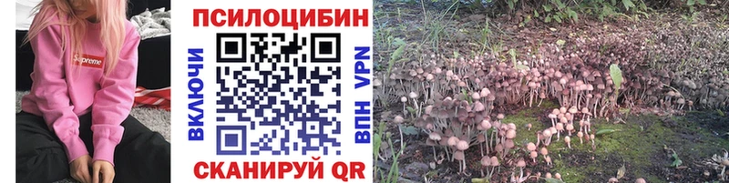 Галлюциногенные грибы MAGIC MUSHROOMS Рязань